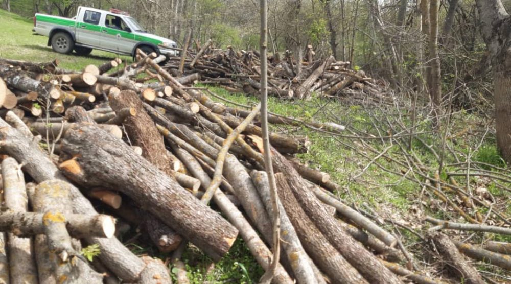 دستگیری قطع کنندگان درختان جنگلی در کلیبر