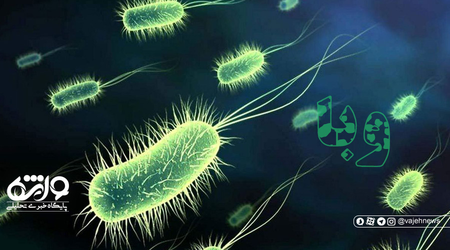 وضعیت وبا در ایران؛ افزایش بیماری در برخی کشورهای همجوار