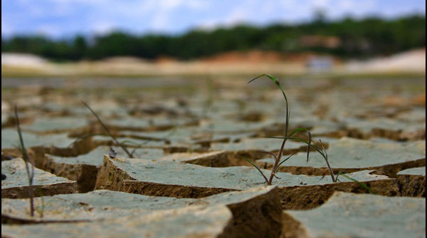 خسارت ۱۴ هزار میلیاردی خشکسالی به اراضی زراعی آذربایجان شرقی