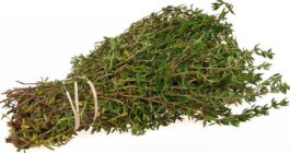 سوپر داروی به نام آویشن در خانه شما