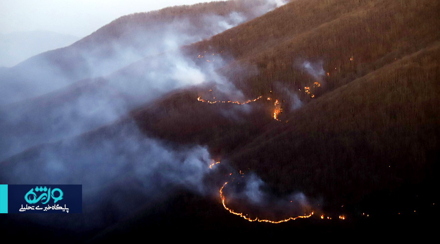 روایت تصویری جنگل سوخته نمنق جلفا/ پایان آتش، آغاز سوگواری طبیعت