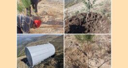 احیای جنگل‌های قره‌داغ محور راهبردی محیط‌زیست سونگون است