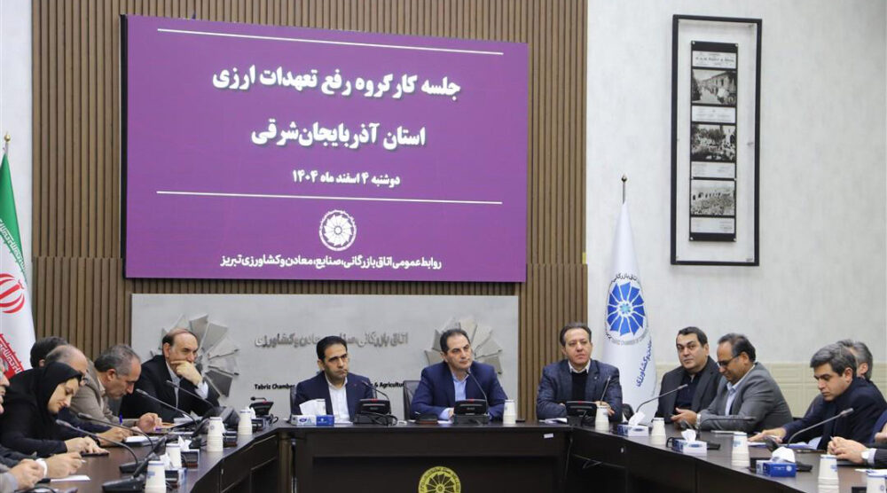 آسیب‌شناسی اخذ ضمانت‌نامه بانکی، مشکلات ایفای تعهدات ارزی و نقدینگی صنایع