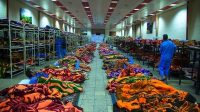 سردترین کلانشهر ایران گرمخانه ندارد/سوز سرما بر تَن کارتن خوابها
