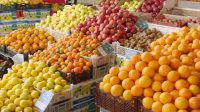 کاهش ۵۰ درصدی خرید میوه شب عید