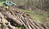 دستگیری قطع کنندگان درختان جنگلی در کلیبر