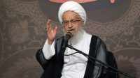 آیت‌ الله مکارم‌ شیرازی: اعتراض حق مردم خصوصاً جوانان است