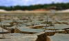خسارت ۱۴ هزار میلیاردی خشکسالی به اراضی زراعی آذربایجان شرقی