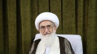 آیتالله نوری همدانی: نباید توجیه گر عمل اشتباه فلان مسئول باشیم