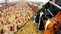 تجارت قراردادی در آذربایجانشرقی عملیاتی میشود