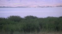 قوری‌گل؛ گوهری طبیعی در دل آذربایجان