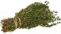 سوپر داروی به نام آویشن در خانه شما