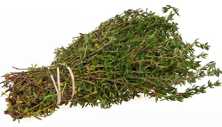 سوپر داروی به نام آویشن در خانه شما