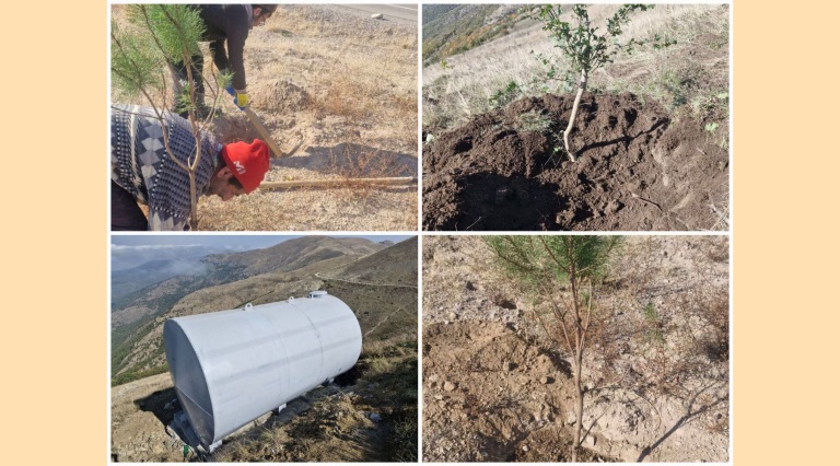 احیای جنگل‌های قره‌داغ محور راهبردی محیط‌زیست سونگون است