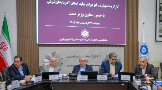 تأکید معاون وزیر صمت بر حمایت فوری از واحدهای تولیدی آسیبدیده