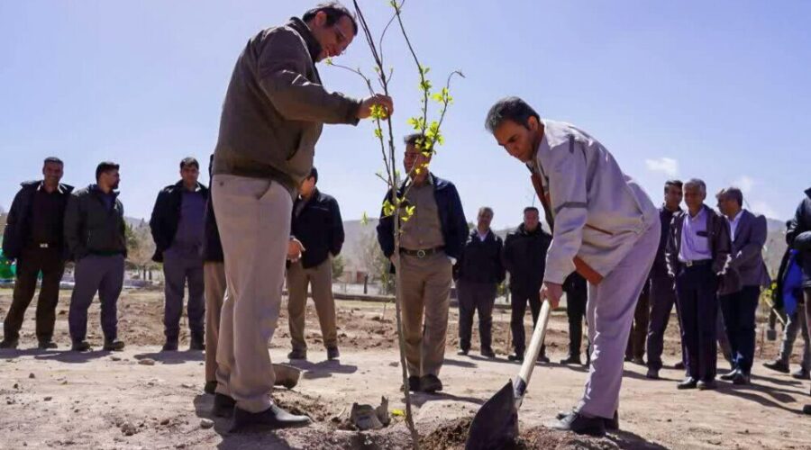 همچنان «ریشه در وطن داریم»