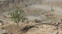 مسیر سبز مس ایران برای تأمین پایدار انرژی